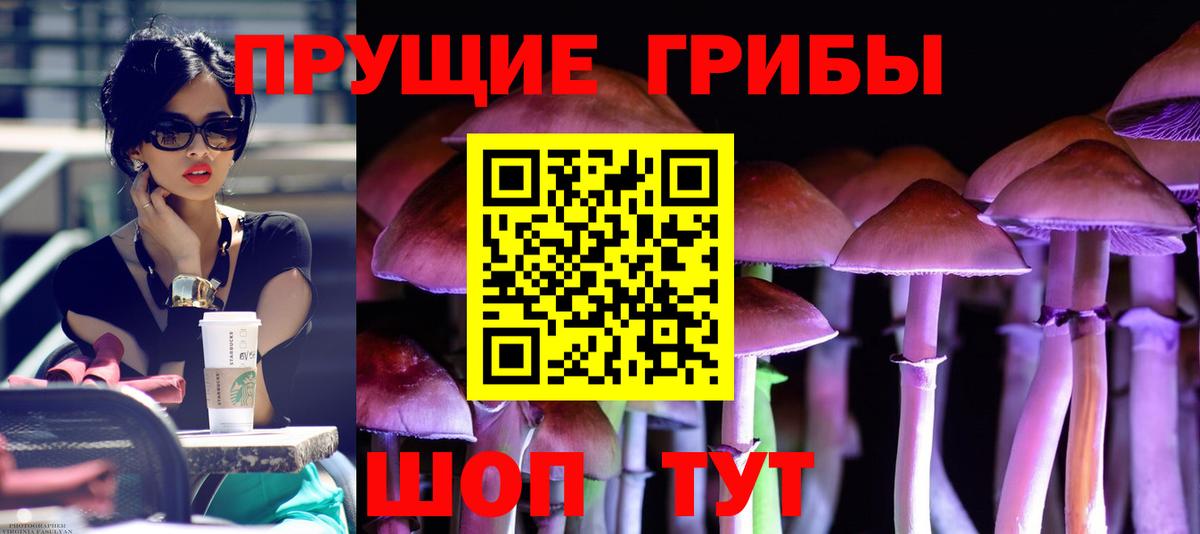 Галлюциногенные грибы Magic Shrooms  Вход с VPN  Партизанск 