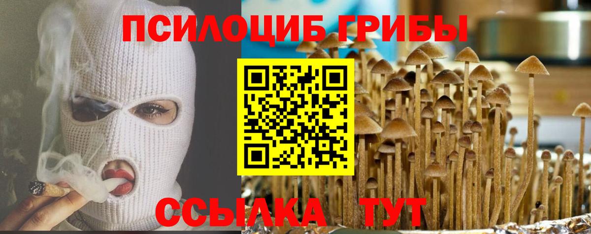 Псилоцибиновые грибы Psilocybe Партизанск